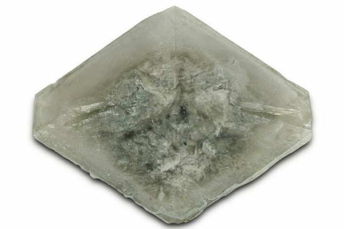 Selenite Crystal - Elder County, Utah #326993